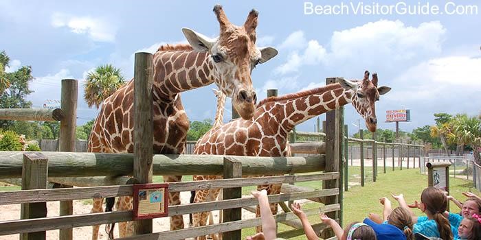 things to do in destin florida with kids 